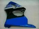 00-02 Blau Kawasaki ZX6R Motorrad Vollverkleidung