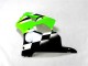 00-02 Grün Schwarz Weiß Kawasaki ZX6R Motorrad Verkleidungen 00-02 Grün Schwarz Weiß Kawasaki ZX6R Motorrad Verkleidungen