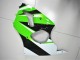 00-02 Grün Weiß Schwarz Kawasaki ZX6R Motorrad Verkleidung 00-02 Grün Weiß Schwarz Kawasaki ZX6R Motorrad Verkleidung