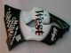 00-02 Schwarzer West Ninja Kawasaki ZX6R Motorrad Verkleidung 00-02 Schwarzer West Ninja Kawasaki ZX6R Motorrad Verkleidung