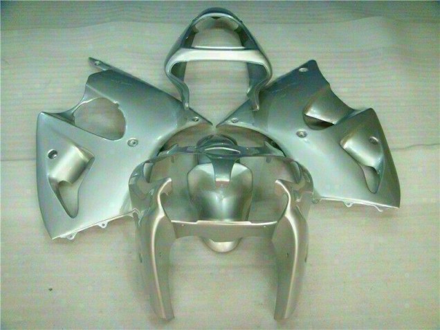 00-02 Silber Kawasaki ZX6R Motorrad Verkleidung 00-02 Silber Kawasaki ZX6R Motorrad Verkleidung