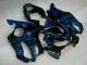01-03 Blau Flammen Honda CBR600 F4i Motorrad Verkleidung