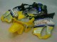 01-03 Gelb Silber Nastro Azzurro Honda CBR600 F4i Motorrad Verkleidung 01-03 Gelb Silber Nastro Azzurro Honda CBR600 F4i Motorrad Verkleidung