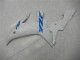 02-03 Weiß Yamaha YZF R1 Motorrad Verkleidung & Plastik 02-03 Weiß Yamaha YZF R1 Motorrad Verkleidung & Plastik