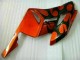 04-05 Orange Schwarz Honda CBR1000RR Motorrad Verkleidungen 04-05 Orange Schwarz Honda CBR1000RR Motorrad Verkleidungen