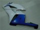 04-05 Weiß Blau Honda CBR1000RR Motorrad Verkleidungen 04-05 Weiß Blau Honda CBR1000RR Motorrad Verkleidungen