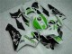 05-06 Grün Honda CBR600RR Motorrad Verkleidungen 05-06 Grün Honda CBR600RR Motorrad Verkleidungen
