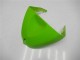 05-06 Grün Kawasaki ZX6R Motorrad Verkleidung