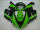 05-06 Grün Schwarz Kawasaki ZX6R Motorrad Verkleidung