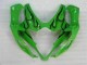 05-06 Grün Suzuki GSXR 1000 Motorrad Verkleidung 05-06 Grün Suzuki GSXR 1000 Motorrad Verkleidung
