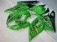 05-06 Grün Suzuki GSXR 1000 Motorrad Verkleidung 05-06 Grün Suzuki GSXR 1000 Motorrad Verkleidung