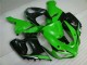 05-06 Grün Weiß Schwarz Kawasaki ZX6R Motorrad Verkleidung 05-06 Grün Weiß Schwarz Kawasaki ZX6R Motorrad Verkleidung