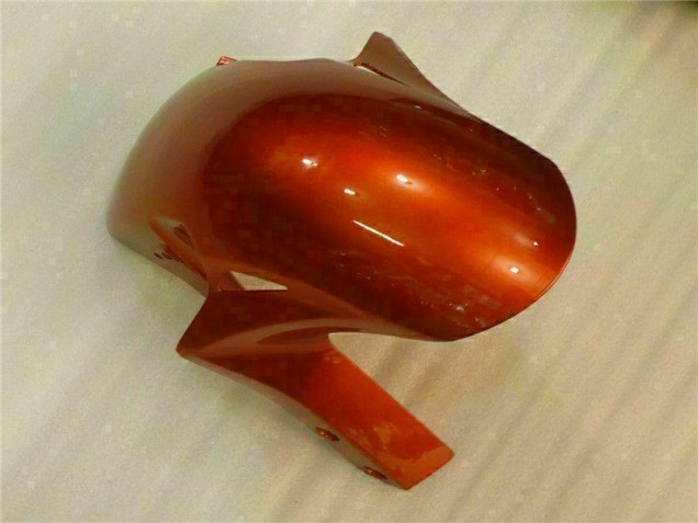 06-07 Braun Honda CBR1000RR Motorrad Verkleidung