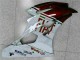 06-07 Braun Weiß Yamaha YZF R6 Motorrad Verkleidung