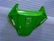 06-07 Grün Honda CBR1000RR Motorrad Verkleidung