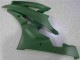 06-07 Grün Yamaha YZF R6 Motorrad Verkleidung 06-07 Grün Yamaha YZF R6 Motorrad Verkleidung