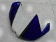 06-07 Weiß Blau Yamaha YZF R6 Motorrad Verkleidungen