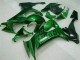 08-10 Grüne Flamme Kawasaki ZX10R Motorrad Verkleidung 08-10 Grüne Flamme Kawasaki ZX10R Motorrad Verkleidung