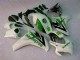 08-11 Grün Weiß Honda CBR1000RR Motorrad Vollverkleidung