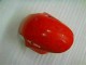 08-11 Rot Silber Honda CBR1000RR Motorrad Verkleidungen