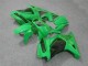 08-12 Grün Kawasaki EX250 Motorrad Verkleidungen 08-12 Grün Kawasaki EX250 Motorrad Verkleidungen