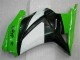 08-12 Grün Schwarzer Ninja Kawasaki EX250 Motorrad Vollverkleidung 08-12 Grün Schwarzer Ninja Kawasaki EX250 Motorrad Vollverkleidung