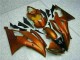 08-16 Orange Yamaha YZF R6 Motorrad Verkleidung