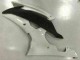08-16 Weiß Yamaha YZF R6 Motorrad Verkleidungen 08-16 Weiß Yamaha YZF R6 Motorrad Verkleidungen