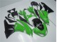 09-12 Grün Schwarz Kawasaki ZX6R Motorrad Vollverkleidung 09-12 Grün Schwarz Kawasaki ZX6R Motorrad Vollverkleidung