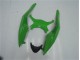 09-12 Grün Schwarz Kawasaki ZX6R Motorrad Vollverkleidung 09-12 Grün Schwarz Kawasaki ZX6R Motorrad Vollverkleidung