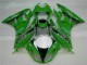 09-12 Grün Schwarzer LeoVince Kawasaki ZX6R Motorrad Verkleidung 09-12 Grün Schwarzer LeoVince Kawasaki ZX6R Motorrad Verkleidung