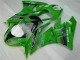 09-12 Grün Schwarzer LeoVince Kawasaki ZX6R Motorrad Verkleidung 09-12 Grün Schwarzer LeoVince Kawasaki ZX6R Motorrad Verkleidung
