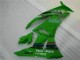 09-12 Grün Schwarzer LeoVince Kawasaki ZX6R Motorrad Verkleidung 09-12 Grün Schwarzer LeoVince Kawasaki ZX6R Motorrad Verkleidung