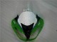 09-12 Grün Schwarzer LeoVince Kawasaki ZX6R Motorrad Verkleidung 09-12 Grün Schwarzer LeoVince Kawasaki ZX6R Motorrad Verkleidung