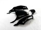 12-21 Schwarz Grün Kawasaki ZX14R ZZR1400 Motorrad Verkleidung 12-21 Schwarz Grün Kawasaki ZX14R ZZR1400 Motorrad Verkleidung